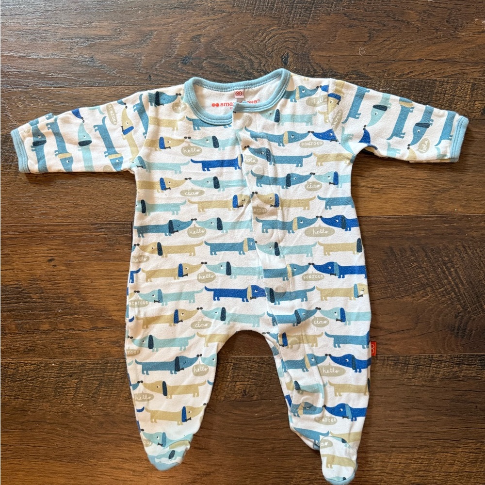 Magnificent Baby Blue and Cream Footies with Dachshund pups